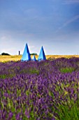 YORKSHIRE LAVENDER  YORKSHIRE:LAVENDER - LAVANDULA X INTERMEDIA GROSSO AND BLUE MULTI PYRAMIDAL SCULPTURE WHICH IS A MEMORIAL TO LYNNE GOODWILL