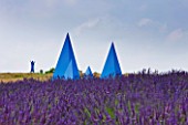 YORKSHIRE LAVENDER  YORKSHIRE:LAVENDER - LAVANDULA X INTERMEDIA GROSSO AND BLUE MULTI PYRAMIDAL SCULPTURE WHICH IS A MEMORIAL TO LYNNE GOODWILL