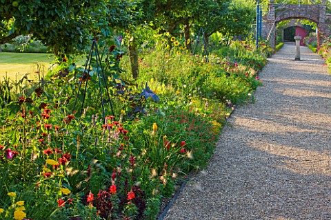 SLEDMERE_HOUSE_GARDEN_YORKSHIRE_PATH_THROUGH_EXOTIC_BORDERS_WITH_ANNUALS_AND_TENDER_AND_HARDY_PERENN