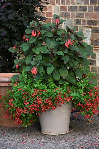 GLYNDEBOURNE_EAST_SUSSEX_TERRACOTTA_CONTAINER_WITH_FUCHSIA