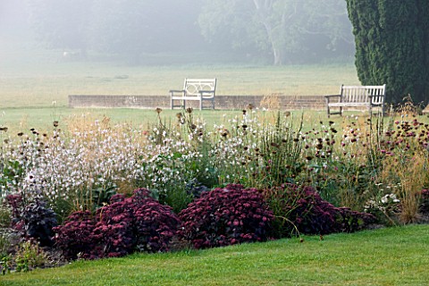 GLYNDEBOURNE_EAST_SUSSEX_THE_MAIN_LAWN_WITH_BENCHES_AND_YEWS_BORDER_WITH_SEDUMS_AND_GAURA_LINDHEIMER
