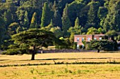 KILLERTON, DEVON: THE NATIONAL TRUST: VIEW TO HOUSE WITH TREE IN LANDSCAPE. COUNTRY, GARDEN