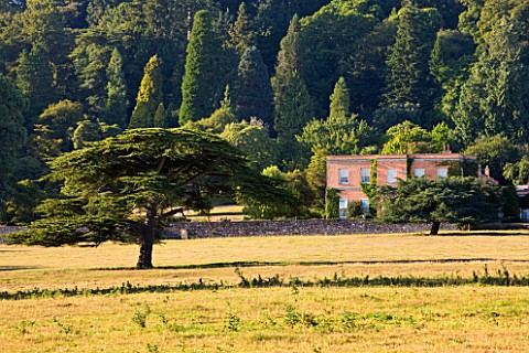 KILLERTON_DEVON_THE_NATIONAL_TRUST_VIEW_TO_HOUSE_WITH_TREE_IN_LANDSCAPE_COUNTRY_GARDEN