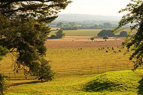 KILLERTON_DEVON_THE_NATIONAL_TRUST_VIEW_OF_PARKLAND_FROM_THE_WOODLAND_BORROWED_LANDSCAPE
