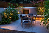 FULHAM GARDEN DESIGNED BY AMIR SCHLEZINGER - MY LANDSCAPES: MINIMALIST GARDEN LIT UP AT NIGHT -  EDGEWORTHIA CHRYSANTHA  ACER ACONITIFOLIUM  TABLE AND CHAIRS  PATIO
