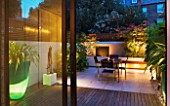 FULHAM GARDEN DESIGNED BY AMIR SCHLEZINGER - MY LANDSCAPES: MINIMALIST GARDEN LIT UP AT NIGHT -  ACER ACONITIFOLIUM  TABLE AND CHAIRS  PATIO  PHYLLOSTACHYS AUREA  WATER FEATURE