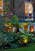 NOTTING HILL HOUSE, LONDON. GARDEN DESIGN BY BUTTER WAKEFIELD. LIGHTING ON BORDER WITH TREE FERNS AND HYDRANGEAS. EVENING, NIGHT, LIT, GLOW, DUSK, UPLIGHTING.