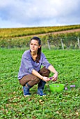 DOMINIQUE BLANCHARD SAFFRON FARM  LOIRE VALLEY FRANCE: DOMINIQUE PICKING CROCUS SATIVUS IN HER FIELD