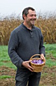 SAMUEL PUGNERE SAFFRON FARM  LOIRE VALLEY FRANCE: SAMUEL HOLDING BASKET OF PICKED CROCUS SATIVUS FLOWERS IN HIS FIELD