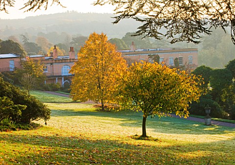 KILLERTON_DEVON_THE_NATIONAL_TRUST_THE_WOODLAND_GARDEN_IN_AUTUMN_WITH_VIEW_OF_THE_HOUSE