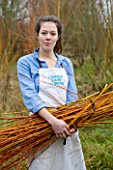 COMMON FARM FLOWERS. SOMERSET: EMILY CUTS AND GATHERS BUNDLES OF PLIABLE CORAL BARK WILLOW FROM THE FARM READY FOR FESTIVE WREATH-MAKING.