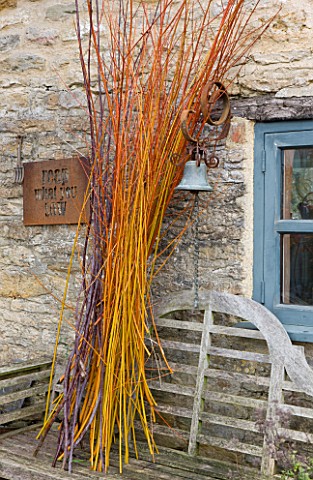 COMMON_FARM_FLOWERS_SOMERSET_COPPICED_STEMS_OF_CORAL_AND_GOLDEN_WILLOW_READY_FOR_WREATHMAKING