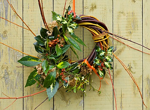 COMMON_FARM_FLOWERS_SOMERSET_TRICOLOUR_WILLOW_WREATH_MADE_FROM_BRITISH_GROWN_SALIX_INCLUDING_CORAL_B