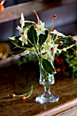COMMON FARM FLOWERS. SOMERSET: SHERRY GLASS ARRANGEMENT ALL BRITISH GROWN STEMS; BERRIED HOLLY  ILEX AQUIFOLIUM  SPRIGS OF ROSEHIPS AND SCILLY ISLES SCENTED TAZETTA NARCISSI.WINTER