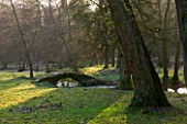 COLESBOURNE PARK  GLOUCESTERSHIRE: THE WOODLAND WITH STREAM AND BRIDGE