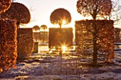 BROUGHTON GRANGE, OXFORDSHIRE: DESIGNER TOM STUART - SMITH: CLIPPED TOPIARY BEECH HEDGES IN FROST IN THE WALLED GARDEN. WINTER, COUNTRY GARDEN, TRIMMED, HEDGING, EVERGREEN, SHRUBS