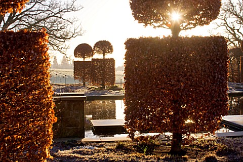 BROUGHTON_GRANGE_OXFORDSHIRE_DESIGNER_TOM_STUART__SMITH_CLIPPED_TOPIARY_BEECH_HEDGE_IN_FROST_IN_THE_