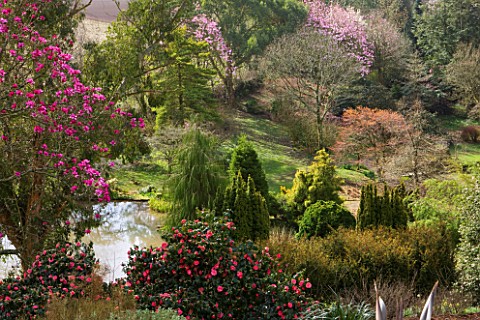 MARWOOD_HILL__DEVON_VIEW_ACROSS_THE_LAKE_WITH_RHODODENDRON__MARWOOD_SPRING_IN_THE_FOREGROUND