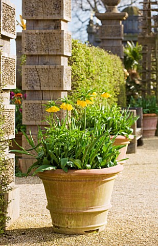ARUNDEL_CASTLE_GARDENS__WEST_SUSSEX_THE_COLLECTOR_EARLS_GARDEN_TERRACOTTA_CONTAINER_PLANTED_WITH_FRI