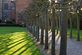 COUGHTON COURT  WARWICKSHIRE: EVENING SUNLIGHT HITS THE LIME WALK BORDERING THE FORMAL LAWNS AT THE REAR. SHADOWS  PATH  AVENUE  TREES. TILIA PLATPHYLLOS RUBRA