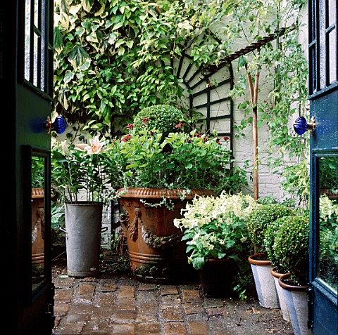 SMALL_TOWN_GARDEN_VIEW_THROUGH_BACK_DOORFRENCH_WINDOWS_INTO_SECLUDED_BRICK_COURTYARD_AREA_TRELLIS_ON