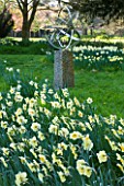 COUGHTON COURT  WARWICKSHIRE: DR TOMS SECRET DAFFODIL GARDEN; RARE THROCKMORTON DAFFODIL COLLECTION  BY THE LATE DR TOM THROCKMORTON  PLANTED BENEATH THE ARMILLARY BY DAVID HARBER