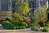 ARUNDEL CASTLE GARDENS, WEST SUSSEX: THE WALLED GARDENS; ISLAND BED WITH NEGRITA AND WHITE TRIUMPHATOR TULIPS