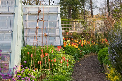 EASTON_WALLED_GARDEN__LINCOLNSHIRE_PATH_IN_THE_PICKERY_WITH_ORIGINAL_GREENHOUSES_AND_TULIP_BEDS_WITH