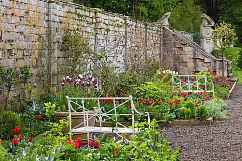 EASTON_WALLED_GARDEN__LINCOLNSHIRE_WALLED_GARDEN_WITH_WHITE_METAL_BENCHES__BEDS_FILLED_WITH_RED_TULI