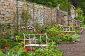 EASTON WALLED GARDEN  LINCOLNSHIRE:WALLED GARDEN WITH WHITE METAL BENCHES & BEDS FILLED WITH RED TULIPS.TERRACOTTA CONTAINER WITH PURPLE AND WHITE TULIPA BLUEBERRY RIPPLE. SPRING