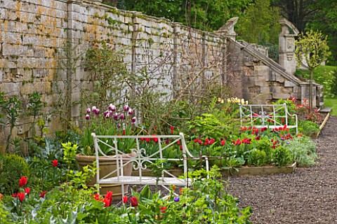 EASTON_WALLED_GARDEN__LINCOLNSHIREWALLED_GARDEN_WITH_WHITE_METAL_BENCHES__BEDS_FILLED_WITH_RED_TULIP