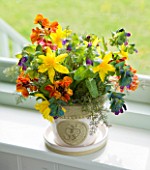 EASTON WALLED GARDEN  LINCOLNSHIRE: BEAUTIFUL SPRING FLORAL ARRANGEMENT IN VASE ON WINDOWSILL. WITH CERINTHE MAJOR PURPURASCENS  YELLOW NARCISSI AND ORANGE WALLFLOWERS
