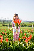 FARRINGTONS FARM  SOMERSET: CHILD SHORT PICKING THE TEMPTING BLOOMS OF TULIPA ORANGE EMPEROR  WHICH IS FAMED FOR LONG ELEGANT STEMS  PERFECT FOR PICKING