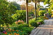 SICILY  ITALY: SAN GIULIANO ESTATE: RACHEL HAS INFUSED THE ARABIC GARDEN WITH A DELICIOUS CONCOTION OF FRUITS, FLOWERS AND EXOTIC PALMS.