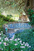 SICILY  ITALY: SAN GIULIANO ESTATE: A MORROCAN INFLUENCED TILED SEATING AREA IN THE ARABIC GARDEN WITH OLIVE TREE, PELARGONIUM GRAVEOLENS, AND CONVOLVULUS MAURITANICUS SYN. C. SABATIUS