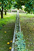SICILY  ITALY: SAN GIULIANO ESTATE: A LONG STONE WATER RILL PENETRATES THE HEART OF THE ARABIC GARDEN, BRINGING MUCH NEEDED WATER TO THIRSTY FRUIT TREES