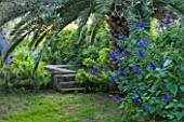 SICILY, ITALY: SALVIA GUARANITICA ‘BLACK AND BLUE’ AND CANARY ISLAND PALM,PHOENIX CANARIENSIS, WITH A RAISED POOL IN THE ARABIC GARDEN