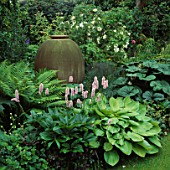 SHADE PLANTING: POLYGONUM BISTORTA SUPERBUM AND HOSTA GOLD STANDARD SURROUND URN BY MONICA YOUNG  USED AS FOCAL POINT IN SHADY BORDER. TURN END  BUCKS