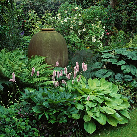 SHADE_PLANTING_POLYGONUM_BISTORTA_SUPERBUM_AND_HOSTA_GOLD_STANDARD_SURROUND_URN_BY_MONICA_YOUNG__USE