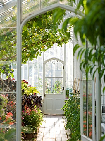 ARUNDEL_CASTLE_GARDENS__WEST_SUSSEX_THE_COLLECTOR_EARLS_GARDEN_THE_INTERIOR_OF_THE_VINEHOUSE__VIEW_T