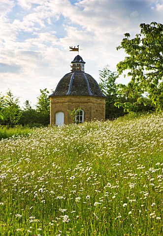 ROCKCLIFFE_HOUSE__GLOUCESTERSHIRE_THE_MEADOW_WITH_OXEEYE_DAISIES_WITH_DOVECOT
