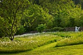 ROCKCLIFFE HOUSE  GLOUCESTERSHIRE: PATHY THROUGH THE MEADOW WITH OXE-EYE DAISIES