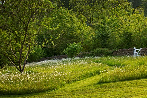 ROCKCLIFFE_HOUSE__GLOUCESTERSHIRE_PATHY_THROUGH_THE_MEADOW_WITH_OXEEYE_DAISIES