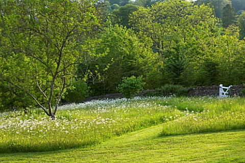 ROCKCLIFFE_HOUSE__GLOUCESTERSHIRE_PATH_THROUGH_THE_MEADOW_WITH_OXEEYE_DAISIES