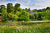 ROCKCLIFFE HOUSE  GLOUCESTERSHIRE: MEADOW WITH OXE - EYE DAISIES AND HOUSE BEYOND