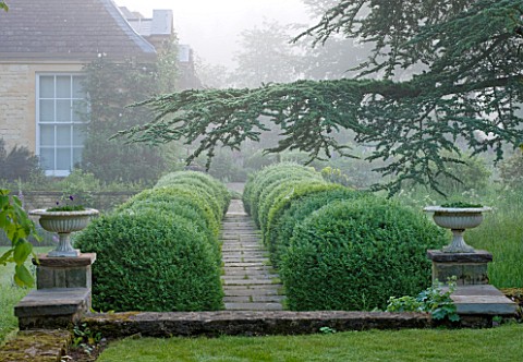 ROCKCLIFFE_HOUSE_GLOUCESTERSHIRE_ROW_OF_CLIPPED_TIOPIARY_BALLS_WITH_PATH_AND_CONTAINERS_CEDAR_OF_LEB