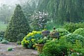 ROCKCLIFFE HOUSE, GLOUCESTERSHIRE: STONE TERRACE WITH EUPHORBIA, KOLKWITZIA  AMABILIS AND CLIPPED BEECH TOPIARY PYRAMID - GREEN, COUNTRY GARDEN, SUMMER, MIST, FOG, ROMANTIC