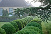 ROCKCLIFFE HOUSE, GLOUCESTERSHIRE: HOUSE WITH CLIPPED TOPIARY BALLS AND CEDAR OF LEBANON - GREEN, COUNTRY GARDEN, SUMMER, MIST, FOG, ROMANTIC