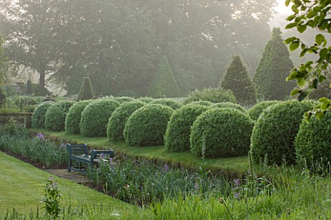 ROCKCLIFFE_HOUSE_GLOUCESTERSHIRE_LAWN_WITH_ROW_OF_CLIPPED_TOPIARY_BALLS_AND_BEECH_OBELISKS__GREEN_FO