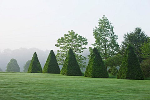 ROCKCLIFFE_HOUSE_GLOUCESTERSHIRE_VIEW_ACROSS_LAWN_PAST_OBELISKS_OF_CLIPPED_TOPIARY_BEECH__GREEN_MIST